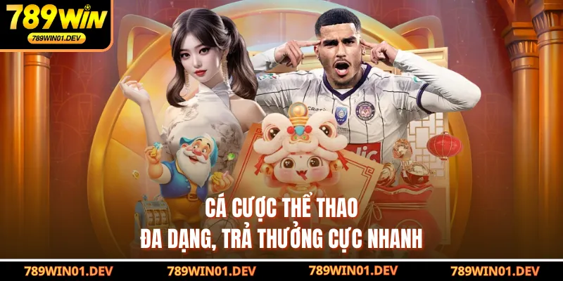 Cá cược thể thao đa dạng, trả thưởng cực nhanh